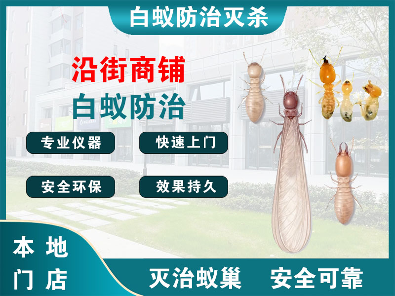 清江浦沿街商铺白蚁防治