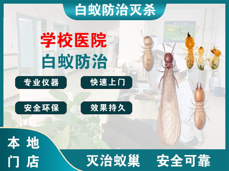 清江浦学校医院白蚁防治