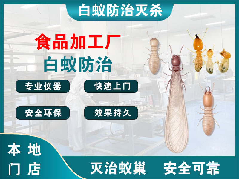 清江浦食品加工厂白蚁防治