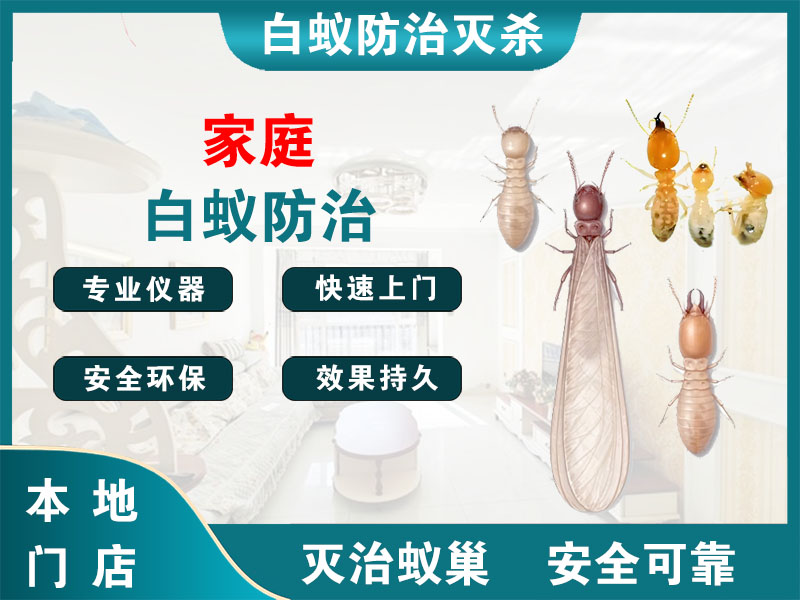 清江浦家庭白蚁防治