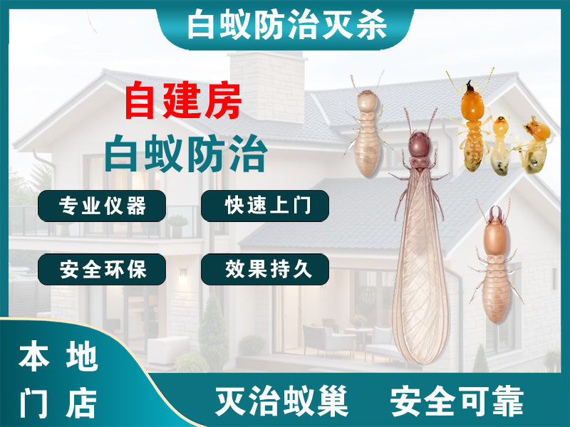 清江浦自建房白蚁防治