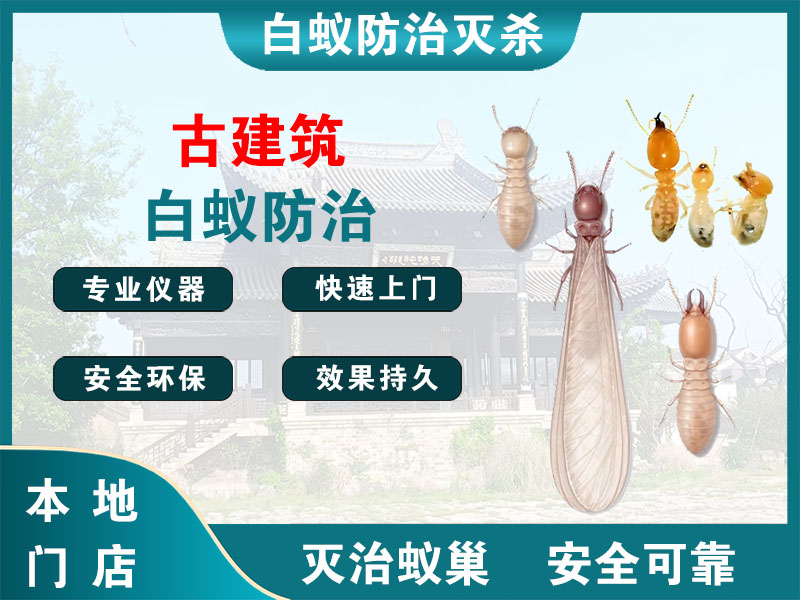 清江浦古建筑白蚁防治