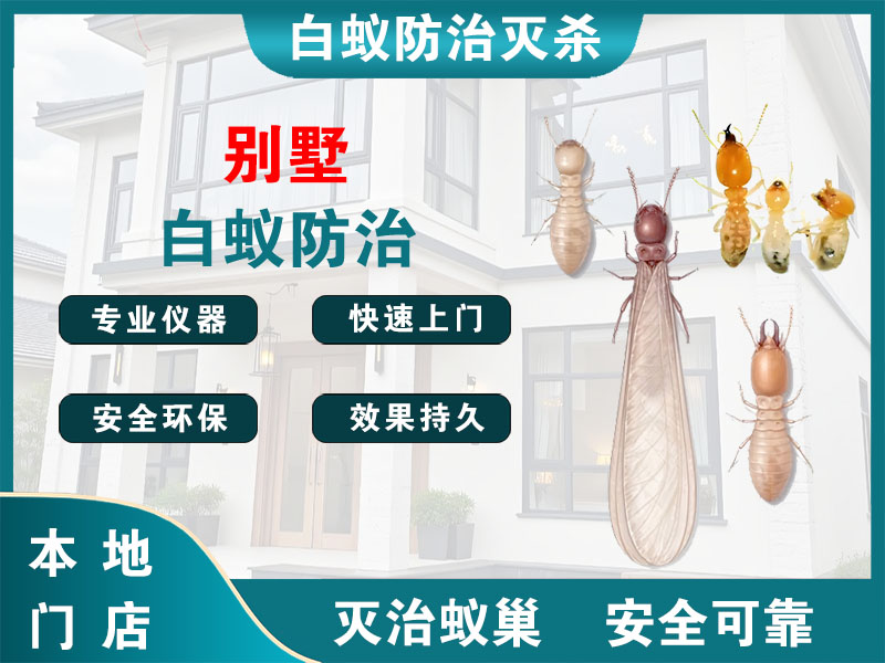 清江浦别墅白蚁防治