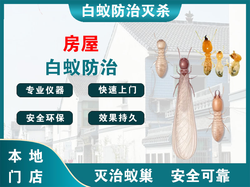 清江浦房屋白蚁防治